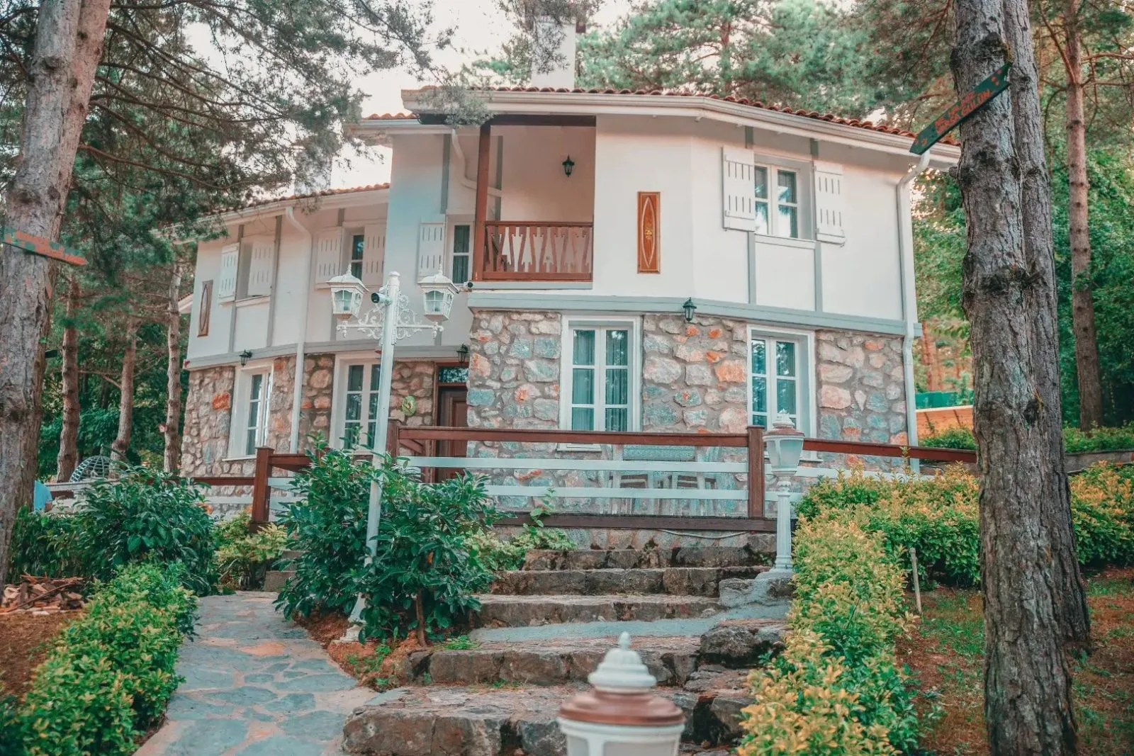 Genel Görünüm