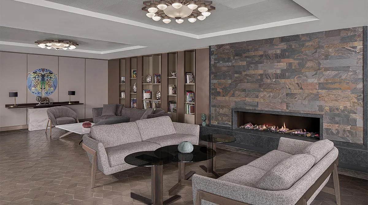Genel Görünüm