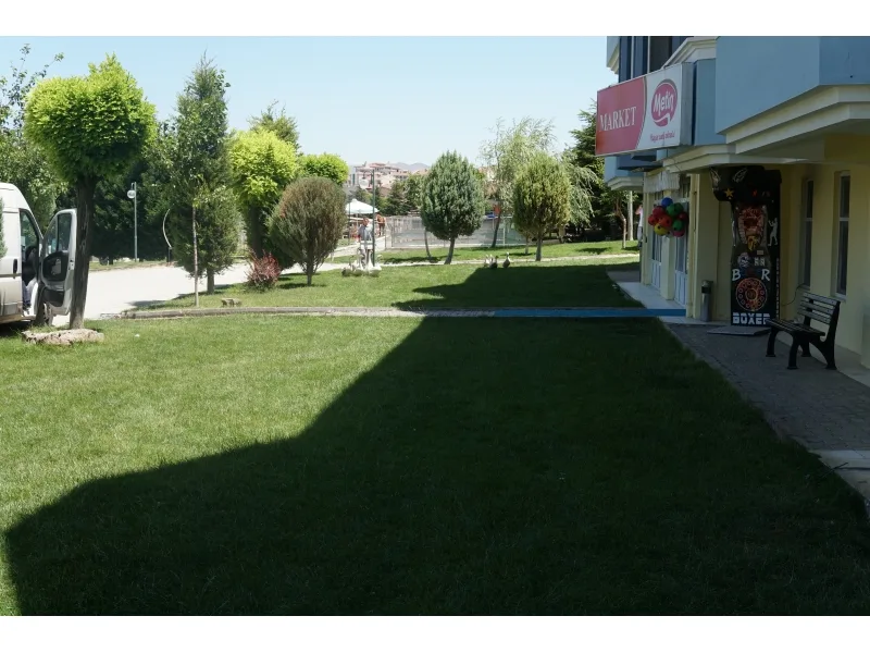 Genel Görünüm