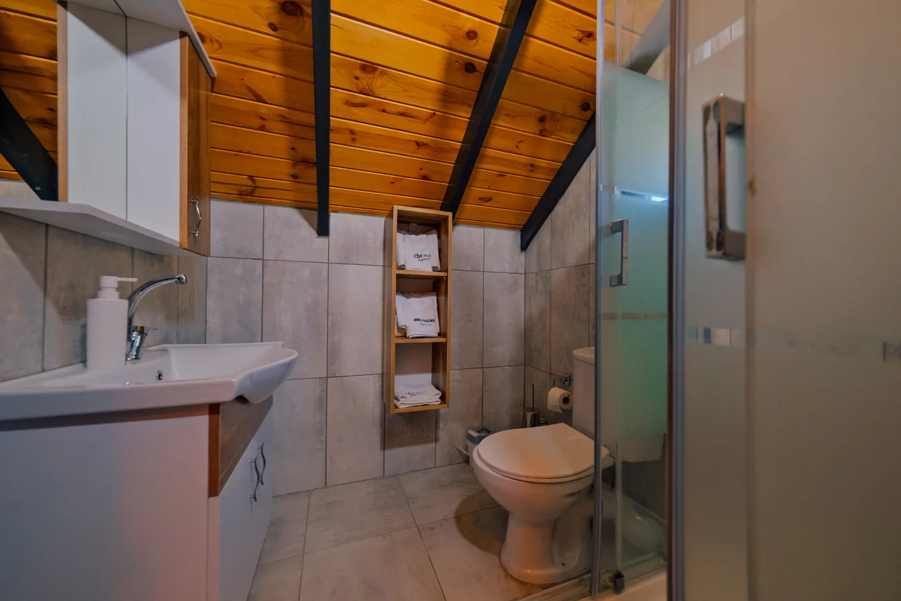 Sapanca Cbc Plus Bungalov'un modern banyo tasarımı